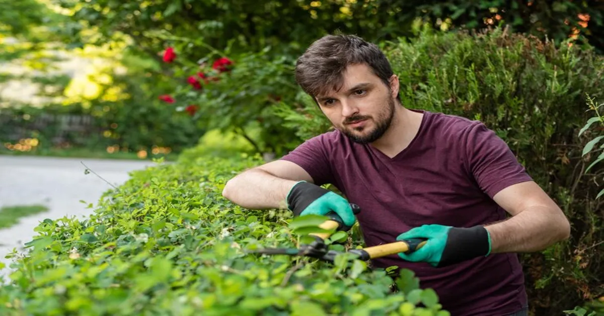 Gardener